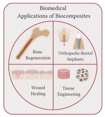  Xenogum: Die vielseitige Verbindung für Biomedizinische Implantate und Geweberegeneration?